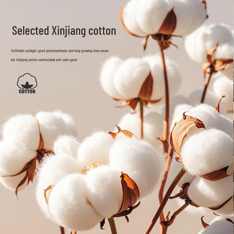 100% Xinjiang Cotton All-Season Quilt