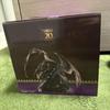 [USED] Monster Hunter 20th Anniversary B Prize Miraboreas Figure