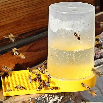 Şeffaf Görünür 500ml Arı Besleyici Bal Arısı Besleyicileri İçme Suyu Suluk Arıları Sulama Aletler Malzemeler Besleme Plastik Arı Suluk Aleti