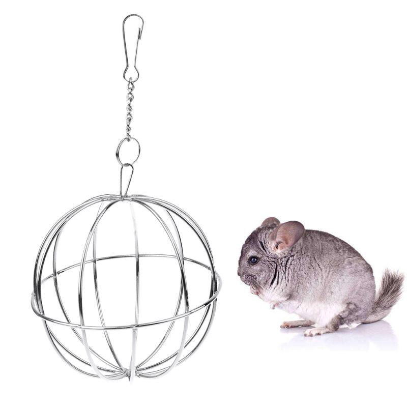 automatic rat feeder