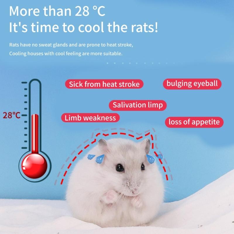 Hamster Rodents Cooling Furniture Toy Gerbil Tube Excercise Pet House for Ferrets Hamster Shelter Toy