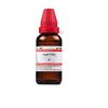@ Dr Willmar Aegle Folia Q Homeopathic Medicine 30ML UKR1670_60%OFF