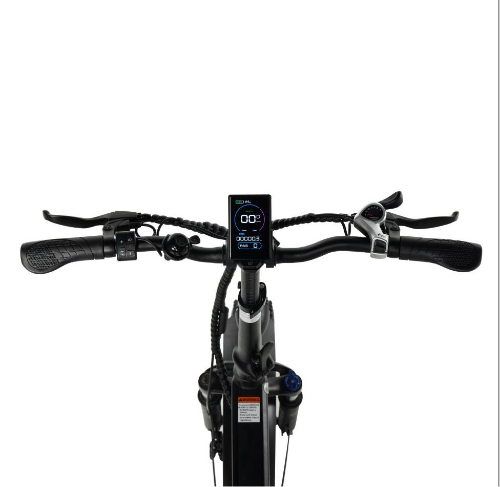 PIXAR Star City Commuting Folding Electric Bicycle 48V15Ah Battery 500W Motor 20 Inch Fat Tires 120kg Load 45-55km Range E-Bike
