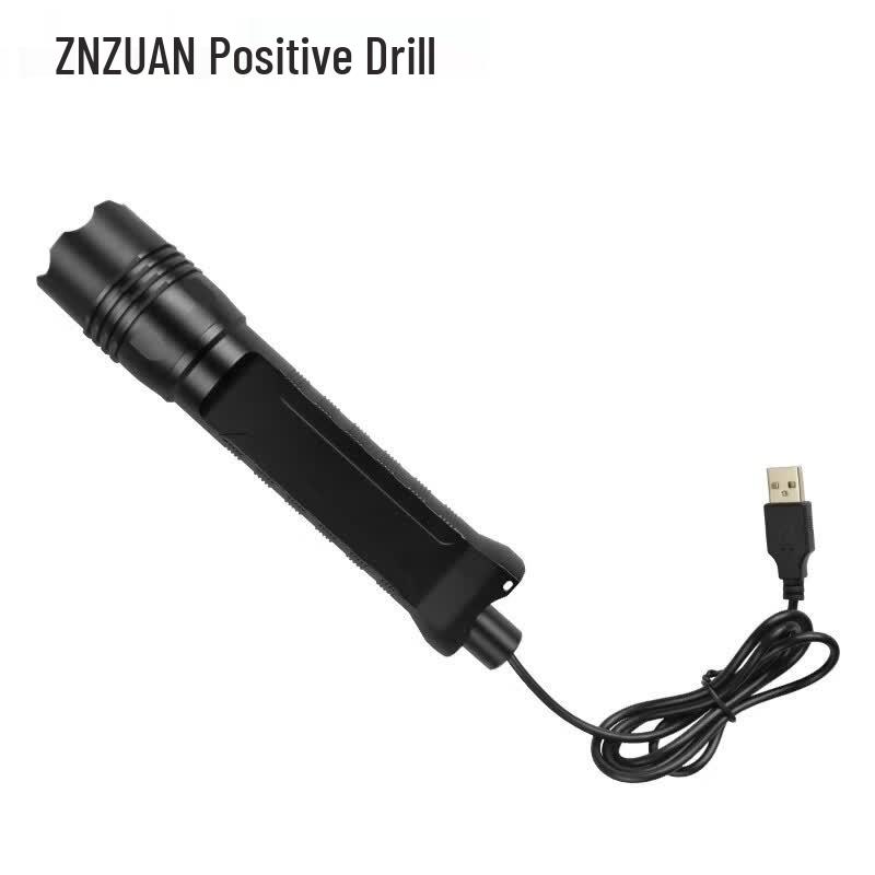 IP67 Security Patrol Wand with Flashlight & Color Screen CN plug (adapter included)