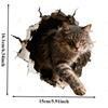 1 Stück kletternde Katze Autoaufkleber für Auto-Fenster Kofferräume Karosserie Motorrad Windschutzscheibe Verkleidung Helm Kraftstofftank Roller Vinyl-Aufkleber