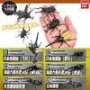 Ornament Twisted Egg Insect Mini Beetle Unicorus Dynastes Simulation Animal Model Collection Desktop Ornament FIGURE PLAYTHINGS
