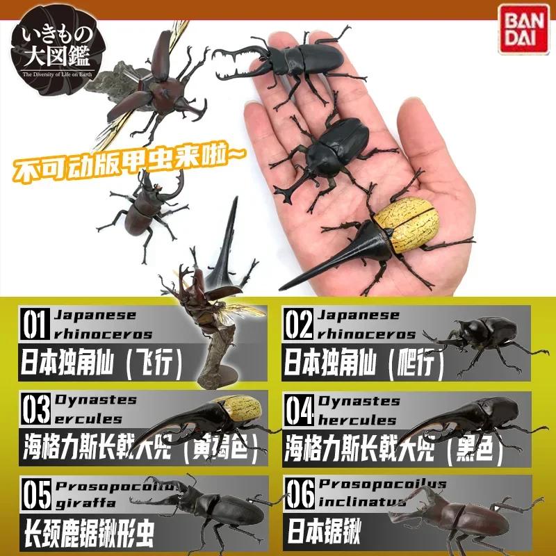 Ornament Twisted Egg Insect Mini Beetle Unicorus Dynastes Simulation Animal Model Collection Desktop Ornament FIGURE PLAYTHINGS