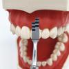 1 piece Orthodontic Aesthetic Teeth Crown Proportion Gauge Dentist Implant Stainless Steel Measuring Ruler Caliper