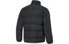 Li Ning Hot Pots Down Collection Down Jacket Men's AYMT299-1