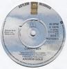 7inch Record ANDREW GOLD  Lonely Boy K13076 Asylum Records 1976 UK Rock Used