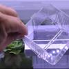 Acrylic Floating Hatching Box Detachable Fish Breeding Isolation Box  for Fish Tank