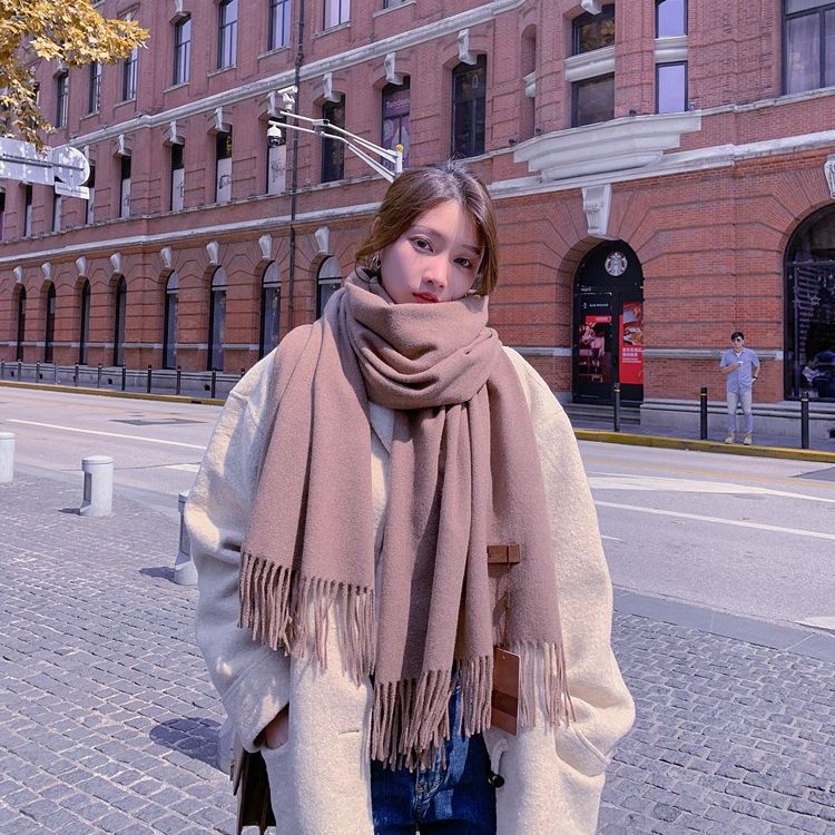 Wool Scarf Women's Autumn and Winter Warm Thickened Cashmere Scarf Versatile Tassel Shawl Korean Style Solid Color Scarf