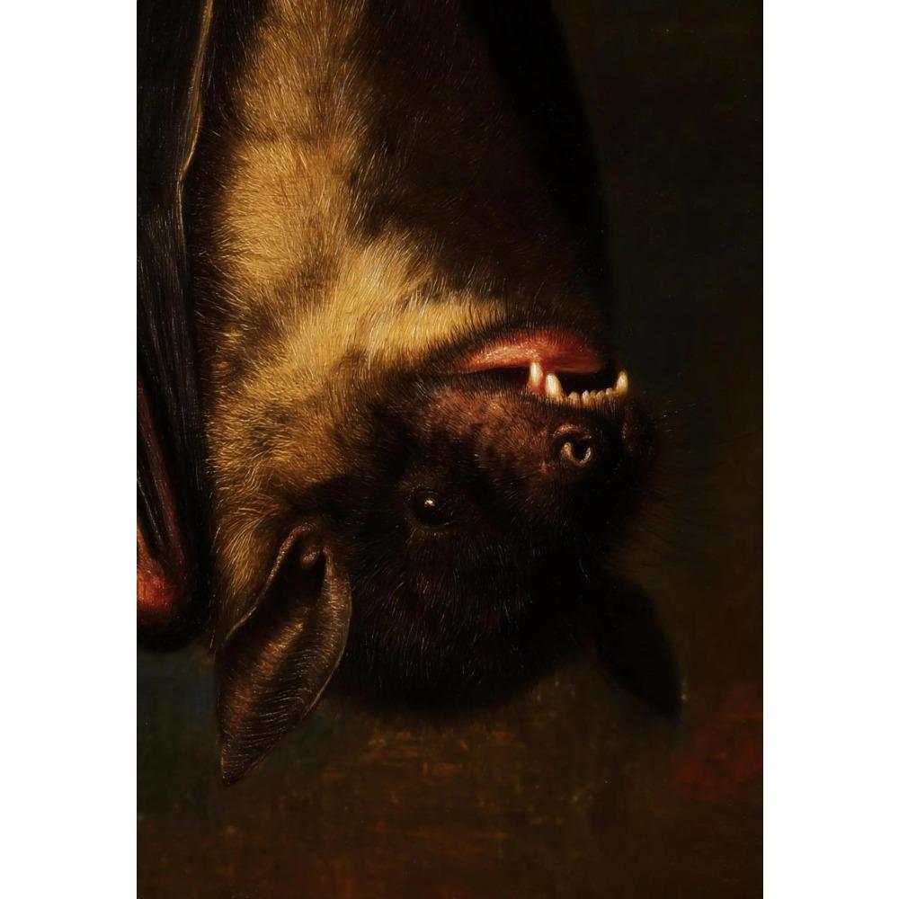 Nastrojowe Gotyckie Śpiący Nietoperz Anioł Plakaty Kwiat Stokrotki Klepsydra Kozie Nadruki Obraz na Płótnie Obrazy Ścienne Wystrój Domu Salonu