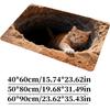 3D Flat Optical Illusion Doormat Non-slip Water-absorbing Bathroom Carpet Durable Abrasion-resistant Bedroom Door Rug Home