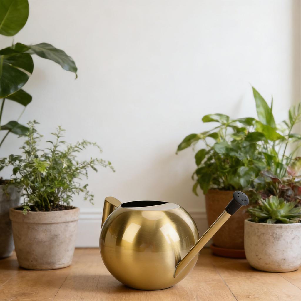 Watering Can with Spout 1000ml Stainless Steel Round Indoor Plant Watering Can with Detachable Hd for Home Garden Flower