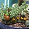 House Ornaments Fairy Garden Chicken Family Figurines Micro Landscape Farm Poultry Hen Chick Models