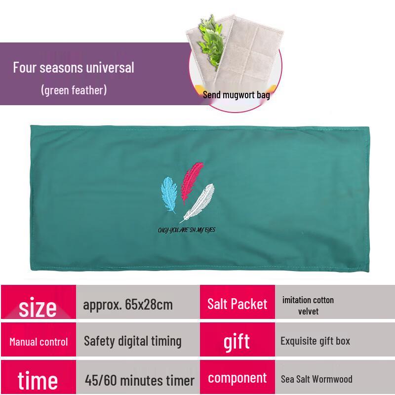 Electric Wormwood & Salt Heating Pad
