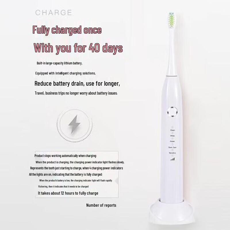 ShangHeng SHZH-039 Sonic Electric Toothbrush CN plug (adapter included)