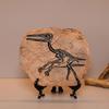 Realistic Dinosaur Skeleton Fossils Resins Statue Figurine Ornament for Desktop Book Shelf Display and Collection Gift