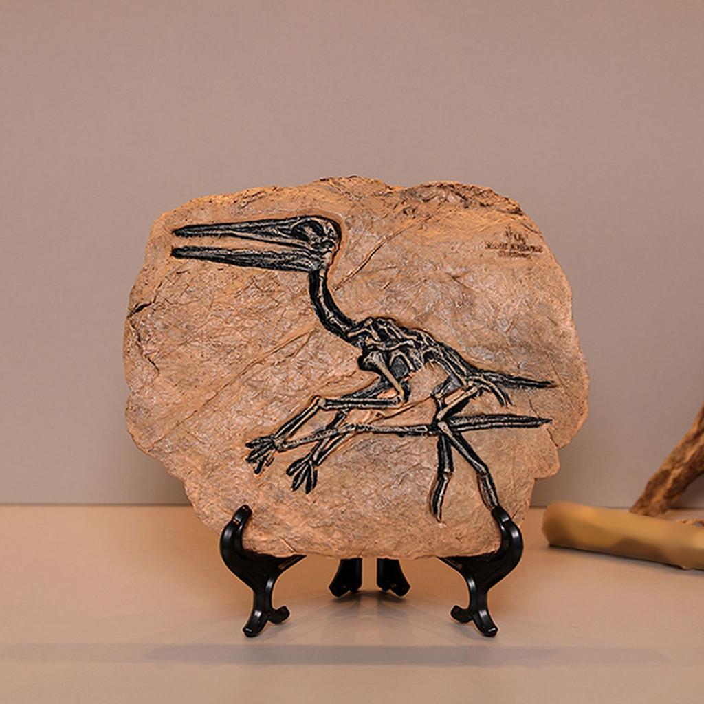 Realistic Dinosaur Skeleton Fossils Resins Statue Figurine Ornament for Desktop Book Shelf Display and Collection Gift