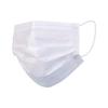 ES Dust-Free Anti-Static Cleanroom Mask, Lint-Free, Disposable, 2-Layer & 3-Layer Options, Smooth & Breathable