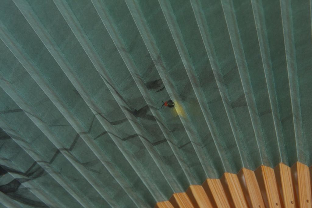 Kyoto Fan with Fan Presentation Made in Japan [Hasegawa] Men's Bag, Box, (Fireflies/Green)