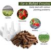 20/50Pc Soilless Seed Grow Nursery Pot Root Starter Hydroponic Soils Seedling Tray Pods Kit Agricultural Growing System Supplies Set