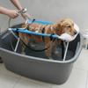 Chiens – Produits de toilettage pour chien