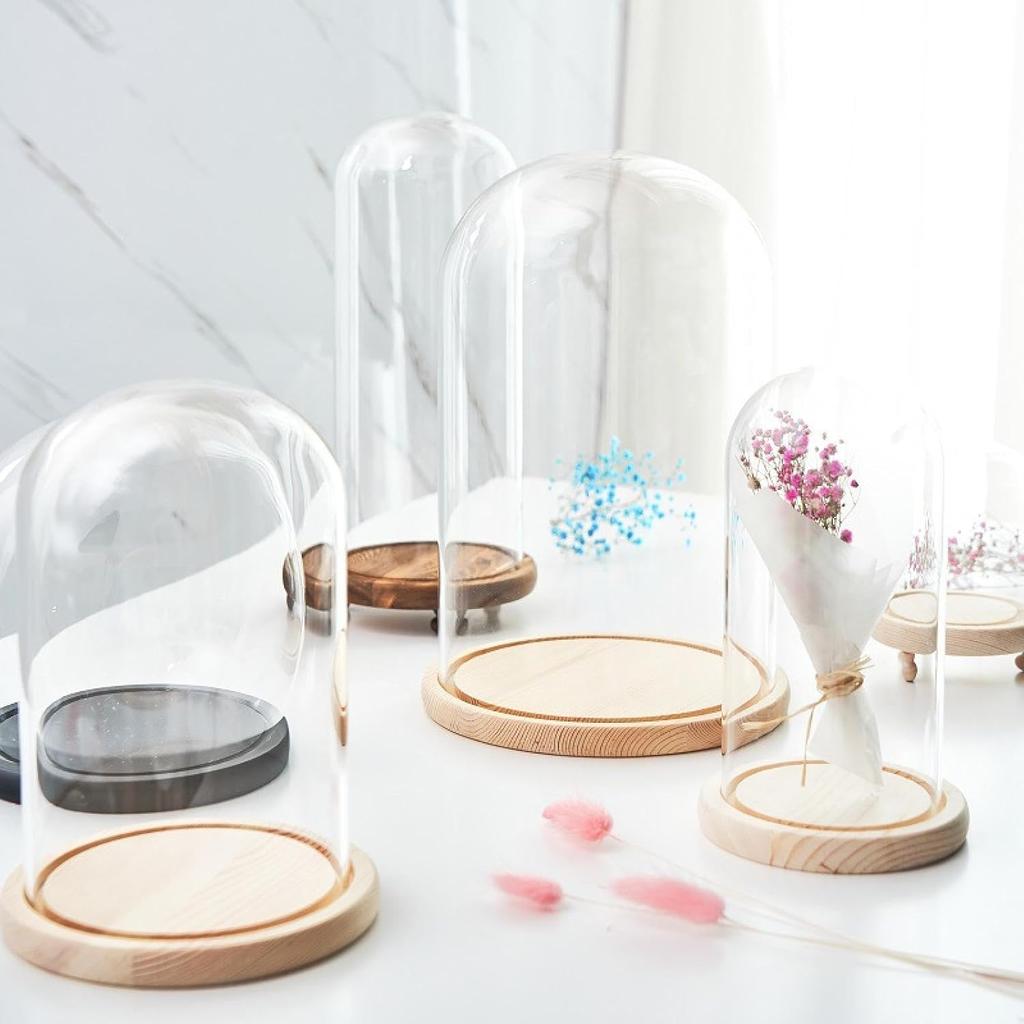 Glass Dome Diameter 7", Decorative Glass Cloche Bell Jar Display Dome, Dust Proof Glass Display Dome with Solid Wood Base Office Home Desktop