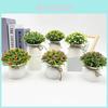 Gypsophila Paniculata L Artificial Potted Plant For Wedding Decor And Photography Props