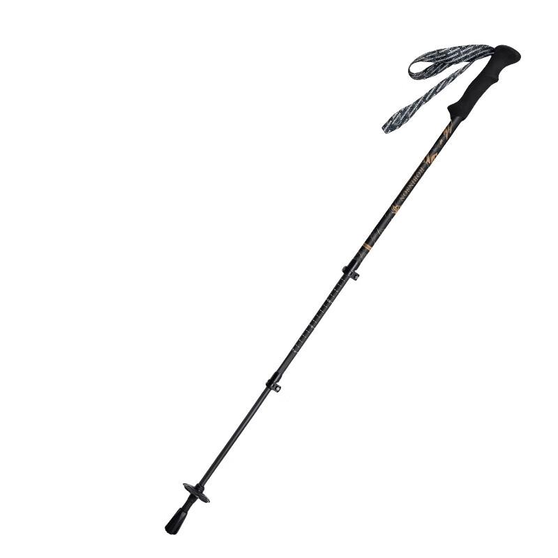 Robinson Ultra-Light Carbon Fiber Telescopic Trekking Pole