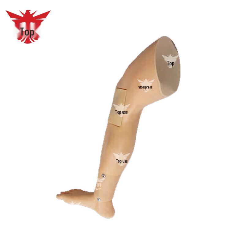 Tibial Puncture Training Module