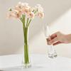 Mini Transparent Glass Test Tube Vase for Fresh Flowers - Desktop Ornament