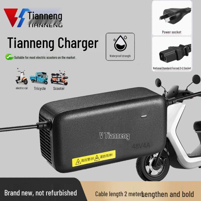 Tianneng 48V 4A Electric Vehicle Lead-Acid Battery Charger