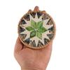 Round Rattan Shell Cup Mat 10cm Coaster Table Decoration Seashell Cup Mat  Dining Table