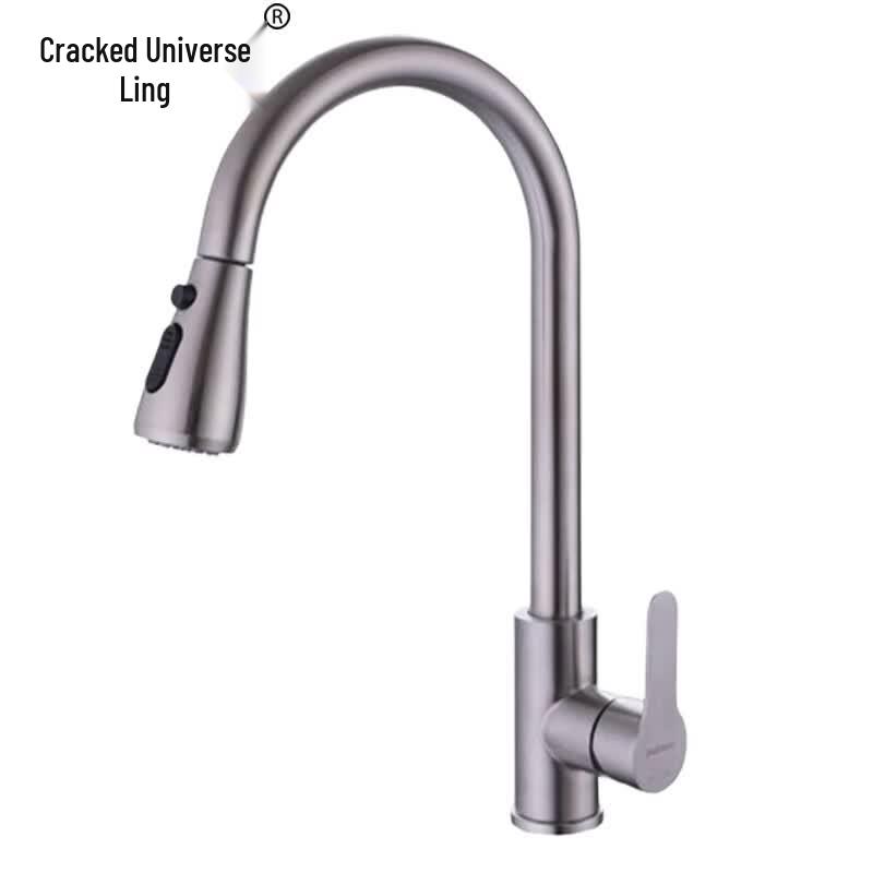 Brushed 304 Stainless Steel Pull-Out Kitchen Faucet
