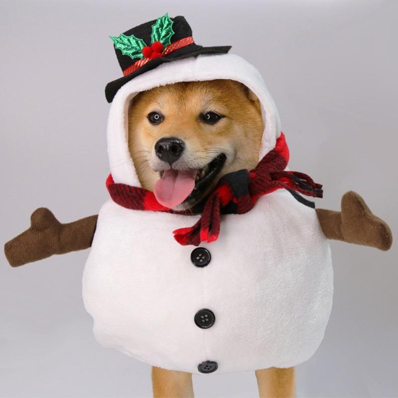 Festives Dog Snowmen Suit Fleece Lined Winter Clothing With Hat Scarf For 5 15kg Pet Holiday Celebration