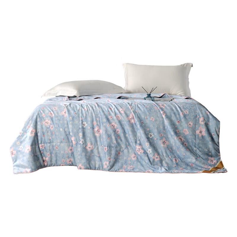 

Hongxiu Shifang Butterfly Love Flower Washed Mulberry Silk Quilt