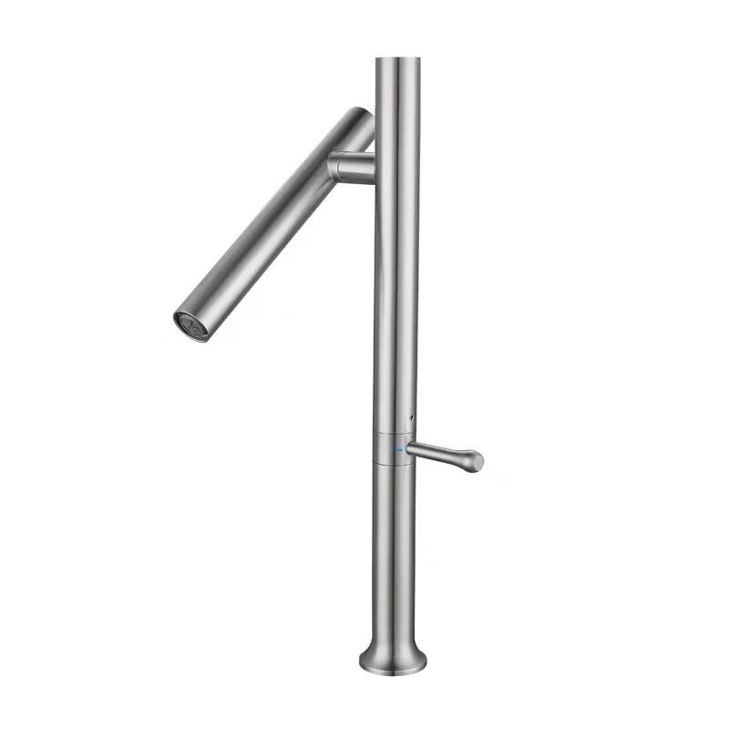 TLXT Brushed Stainless Steel Wall-Mounted Kitchen Faucet with Swivel Spout