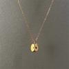 Red Zircon Apple Charm Pendant Necklaces For Women Creative Fashion New Delicate Collar Chain Jewelry Gift Party
