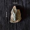 1 Stück Kinderspielzeug Simuliertes Harz Fossil Ornament Kriechendes Terrarium Dekorationen Dekorativer Behälter Landschaft Reptil