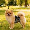 Male Dog Physiological Pants Estrus Period Anti Harassment Adjustable Breathable Large Medium Small Dogs Training Pants
