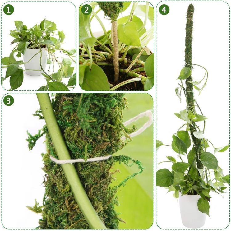 Plant Support Flexible Plant Stake Living Room Plant Stand Plant Climbing Support Suitable for Indoor Plant Growth