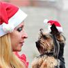 Christmas Decorations Pet Santa Hat Dog Small Hat Furry Hat Pet Christmas