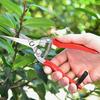 Präzisions-Gartenschere aus Edelstahl für Blumenbeschneidung, Bonsai-Pflanzenbeschneidung, Roter Griff, Gartengerät