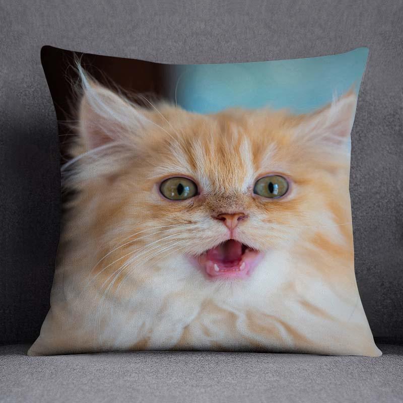 Cat Series Pattern Decorative Pillowcase, Square Home Office Decoration (45Cm * 45Cm)