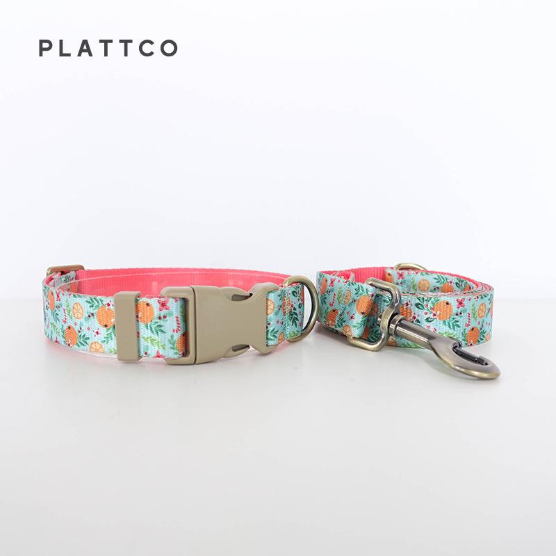 PLATTCO Nylon Webbing Printed Pet Collar Set PDC366 XL