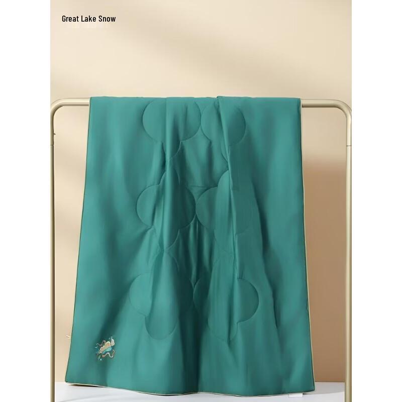 Taihuxue Tussah Silk Summer Quilt