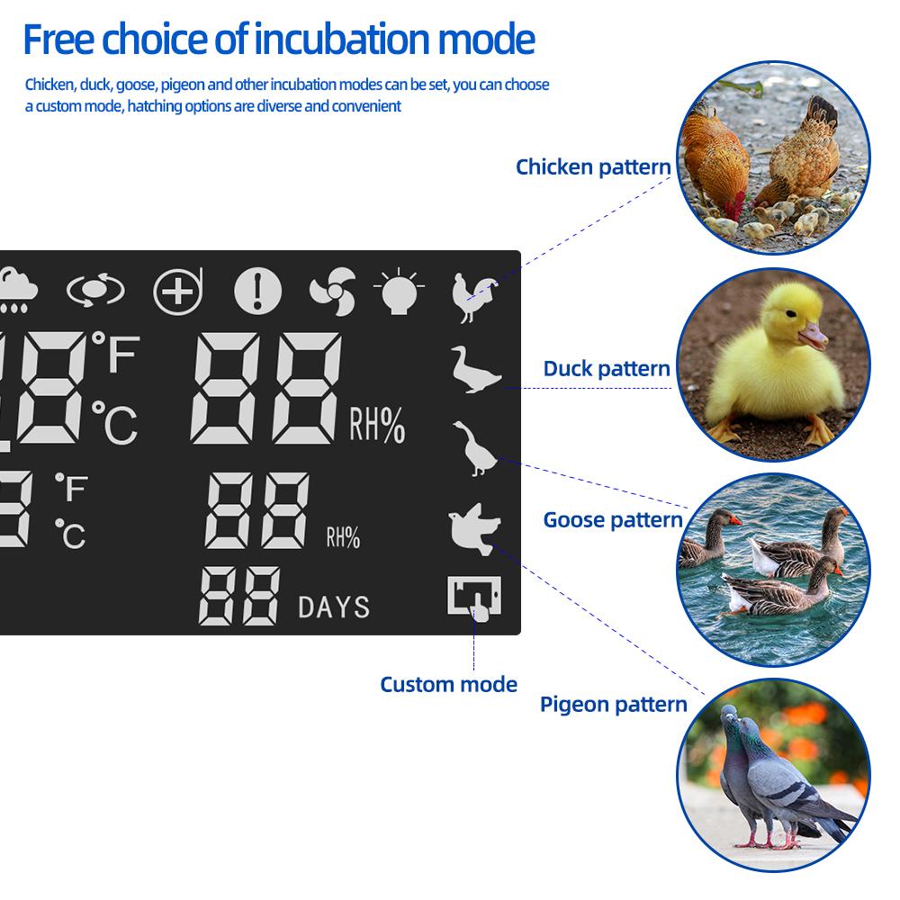 XM-18SW Egg Incubator Controller Thermostat Hygrostat Control Temperature and Humidity Controller App System