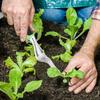 Weeding Tools Gardening Heavy Duty Aluminum Alloy Hand Weeder Garden Accessory for Sidewalk Crack Patio Vegetable Patch
